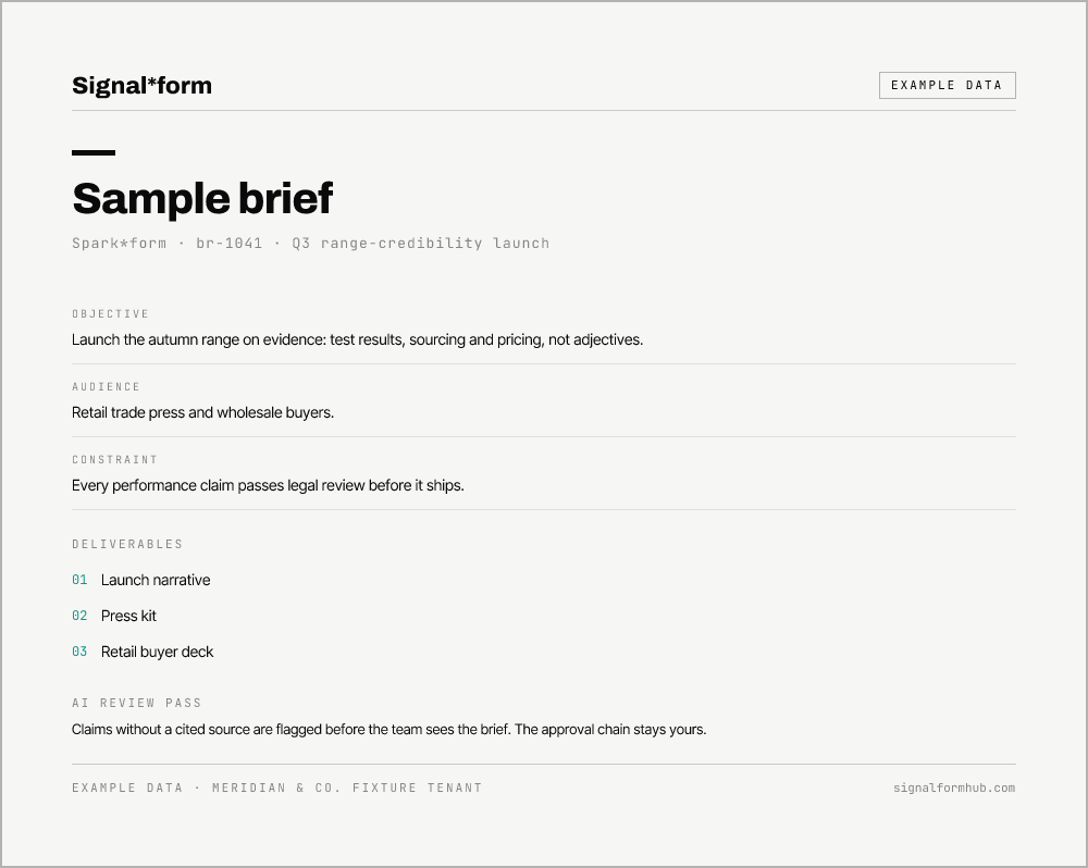 Example data: a sample Spark*form brief with objective, audience, constraint, and deliverables